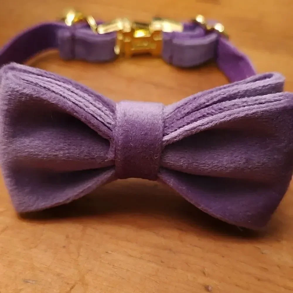Purple Velvet Bow Cat Collar with Gold Bell and Breakaway Closure NWOT